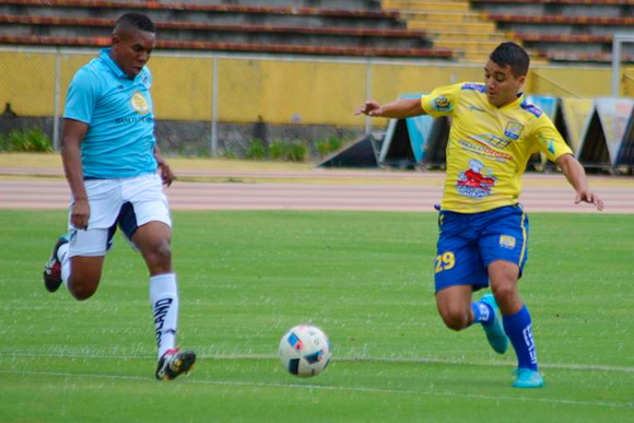 catolica-1-delfin-0.jpg