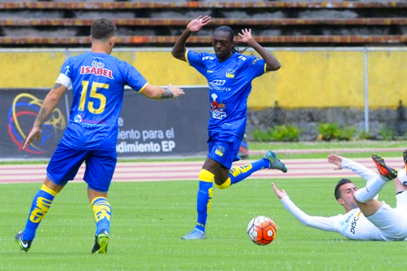 delfin-0-catolica-0.jpg