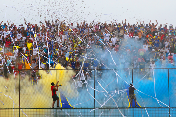 delfin-hinchada.png