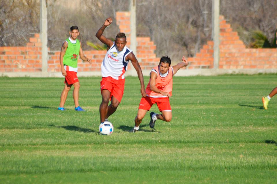 entrenamiento-delfin-de-manta.jpg